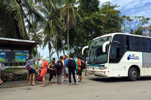 san jose to puerto viejo bus